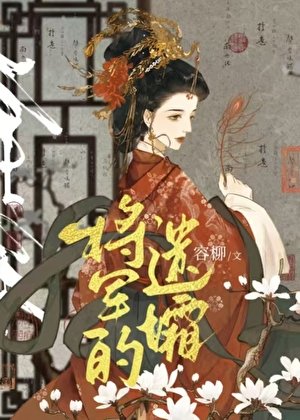 《将军的遗孀》
