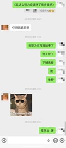 《稀碎》