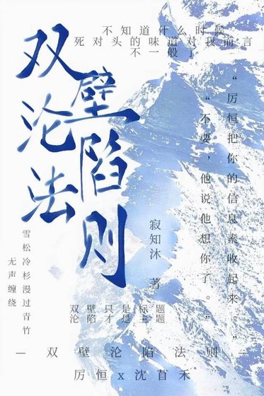 《双壁沦陷法则》