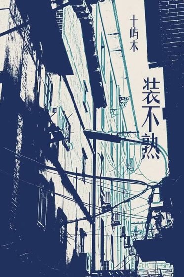 《被迫和男友在内娱装不熟》