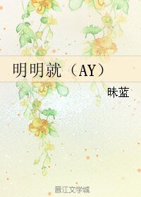 《(BL/高达同人)明明就(AY)》
