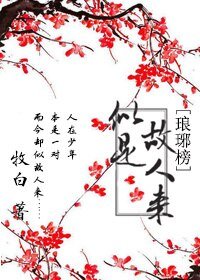 （BL/琅琊榜同人）似是故人来