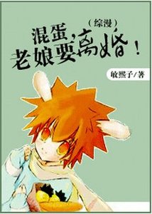 《(综漫)混蛋,老娘要离婚!》