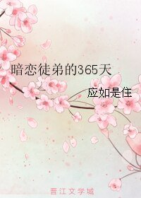 《暗恋徒弟的365天》