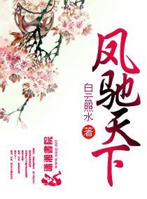 《凤驰天下》