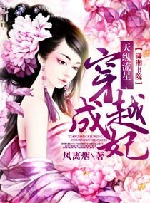 《天纵流星,穿越成妃》