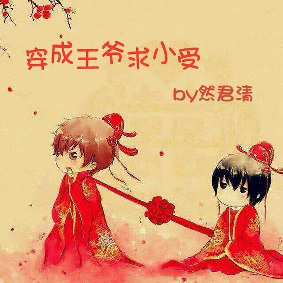 《穿成王爷求小受》