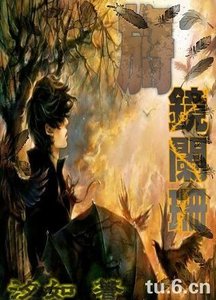 《旖镜阑珊》