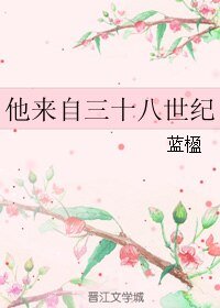 《他来自三十八世纪》