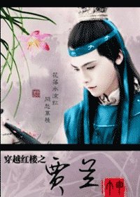 《(红楼同人)红楼穿越之贾兰》