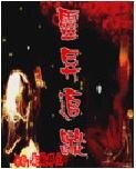 灵异追踪