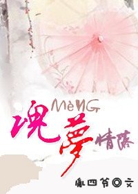 《(倚天同人)魂梦情落》