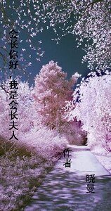 《会长你好,我是会长夫人》