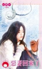 《恶妻回来了》