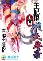 《王妃很无良:代夫娶亲》
