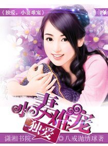 《独爱,小妻难宠》
