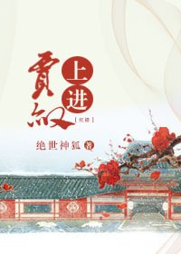 《(BG/红楼同人)红楼之上进贾赦》