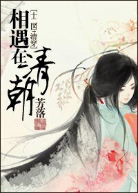 《(BG/综同人)相遇在清朝(十二国+清穿)》