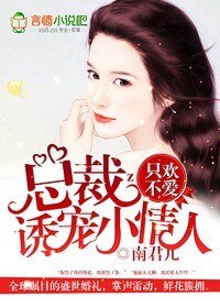 《只欢不爱,总裁诱宠小爱人》