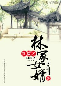 《(BG/红楼同人)红楼之林家女婿 》