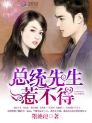 《总统先生,惹不得!》