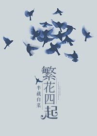 《繁花四起/云泥之别》