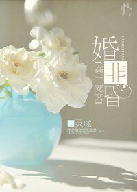 《婚非昏(高干宠文)》