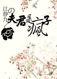 《夫君是疯子/调“教”女道士》