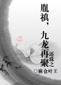 《(BL/还珠同人)还珠之胤禛,九龙再聚》