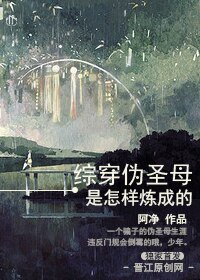 《(BL/综漫同人)伪圣母是怎样炼成的》