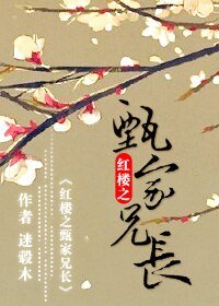 《(BL/红楼同人)红楼之甄家兄长》